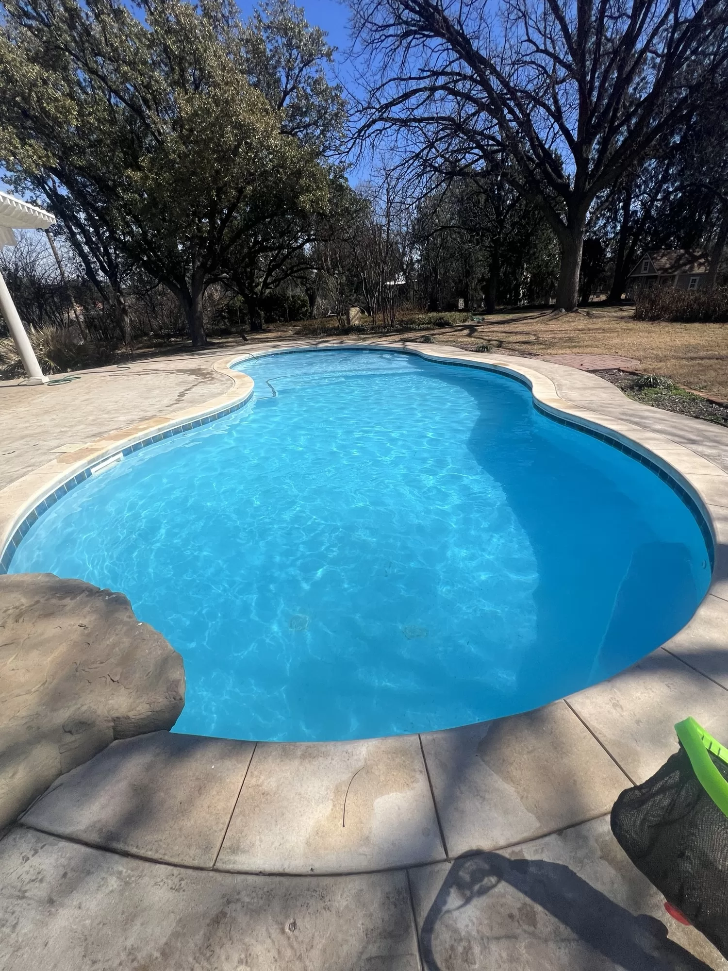 Blue freeform backyard pool surrounded by a concrete deck and trees