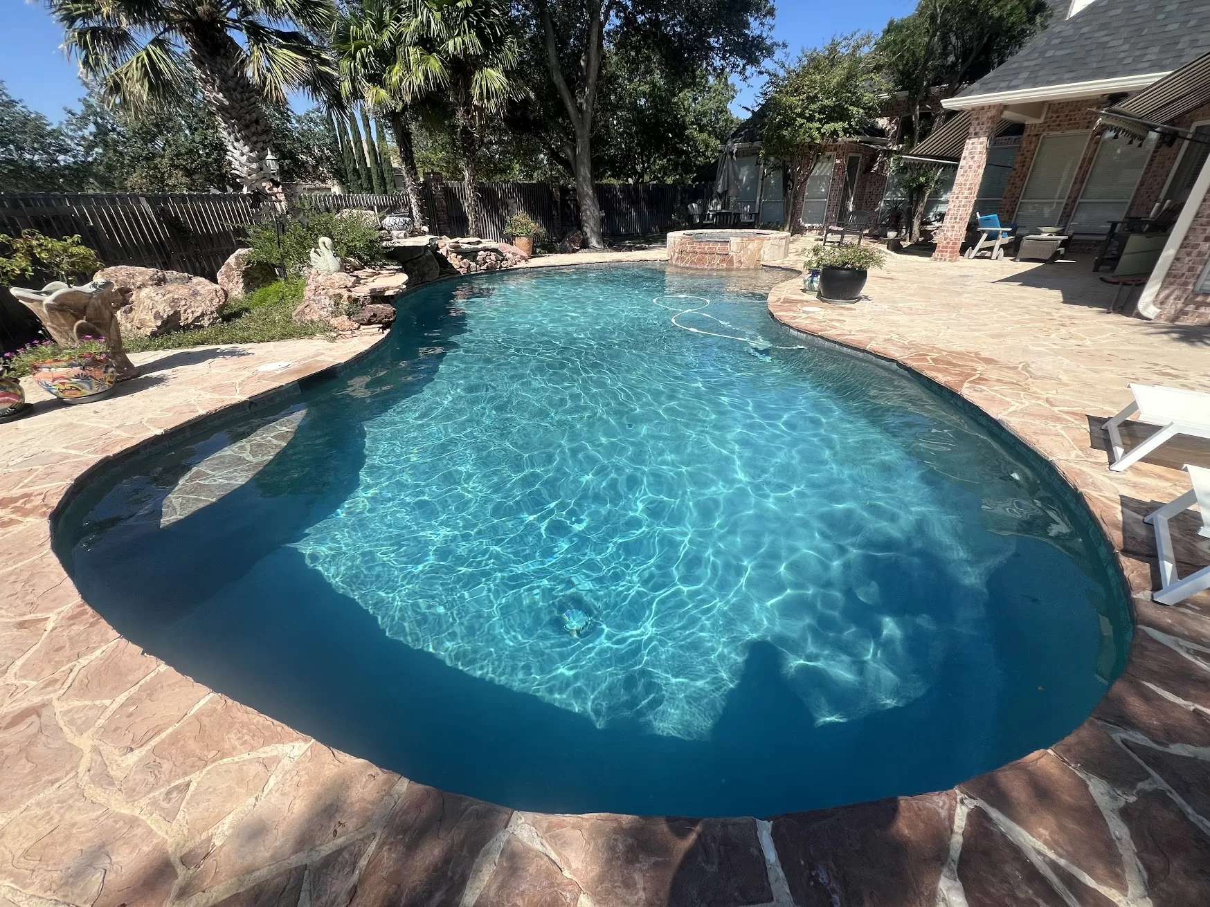 Freeform swimming pool with sunlit water, stone decking and palm trees.